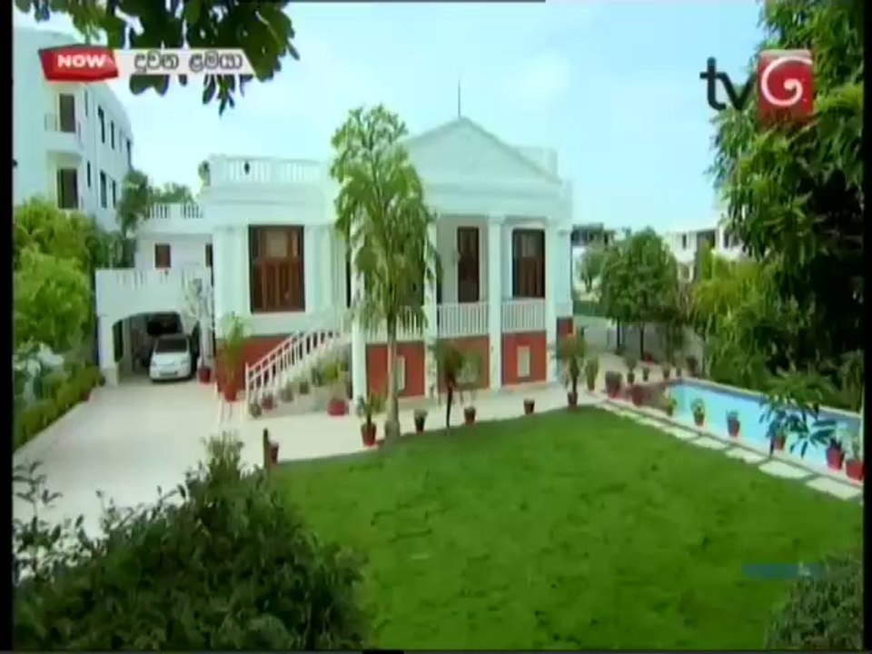 Duwana Lamaya 334