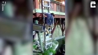 Man falls into pool full of alligators after rope swing fail