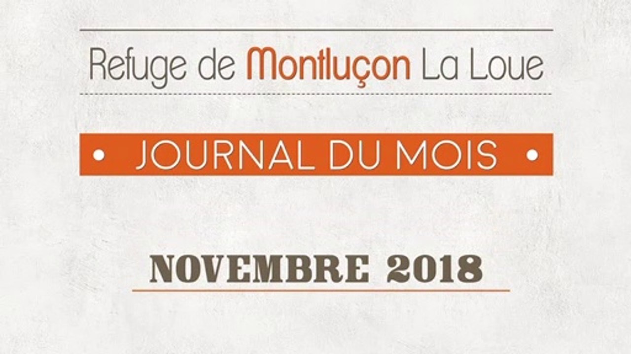 Un mois au refuge : novembre 2018