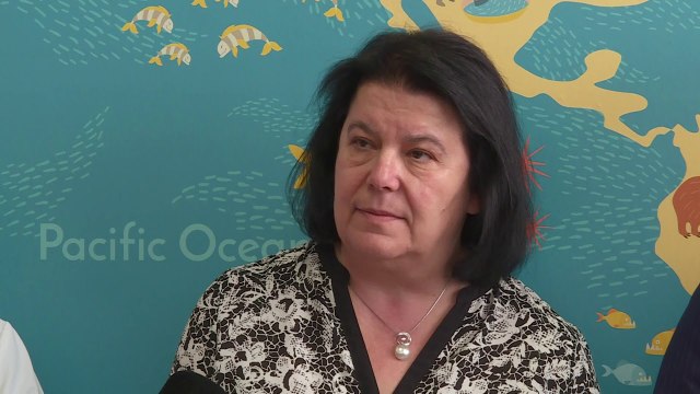 Maska falas kundër ndotjes së ajrit