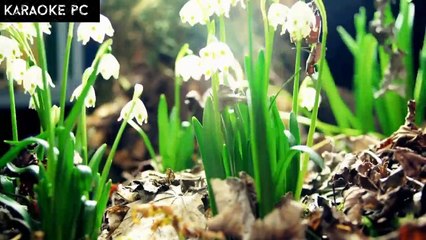 Karaoke Cuộc Tình Đêm - Cẩm Vân