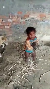 يستحق المشاهدة ، طفل صغير يتنازع مع كلبة ، شاهد بنفسك و احكم