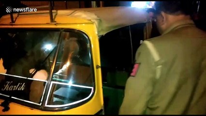 Hero stray dog shot and injured chasing off armed robbers in Delhi