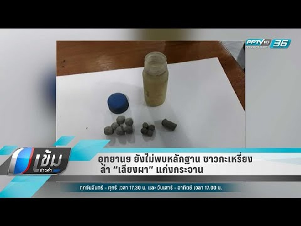 อุทยานฯ ยังไม่พบหลักฐาน ชาวกะเหรี่ยงล่า “เลียงผ...