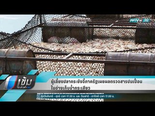 ผู้เลี้ยงปลากระชังจี้ภาครัฐเผยผลตรวจสารปนเปื้อนในอ่างเก็บน้ำกระเสียว - เข้มข่าวค่ำ