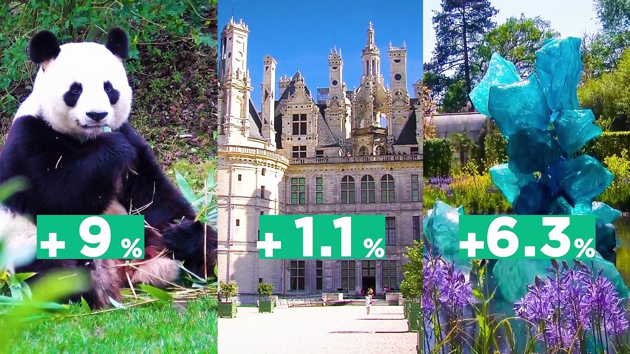 VIDEO. Top des entreprises 2018 : le journal de l'économie en Loir-et-Cher