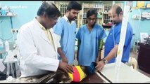 Peacock savaged by dog then saved after 2-hour surgery