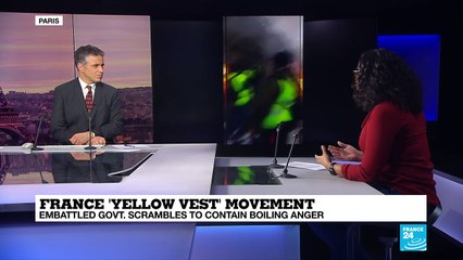 France 'Yellow Vest': why is Facebook such a popular tool?