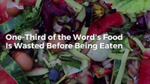 One-Third of the Word's Food Is Wasted Before Being Eaten