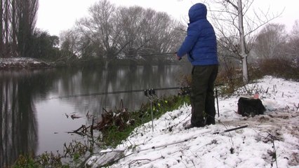 There' Snow Way I'm Gonna Catch! - Update - Warwickshire Avon 2017 - 10/12/17 (Video 55)