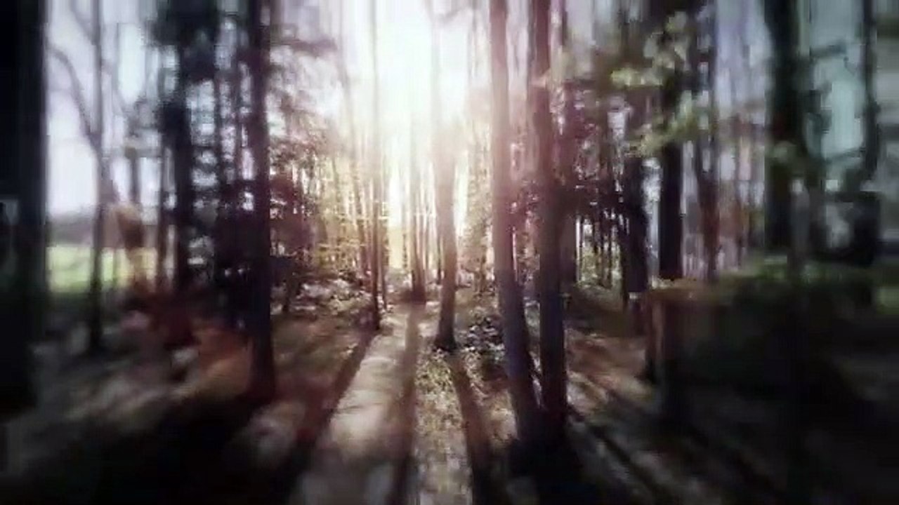 Death Cab for Cutie – August 2018