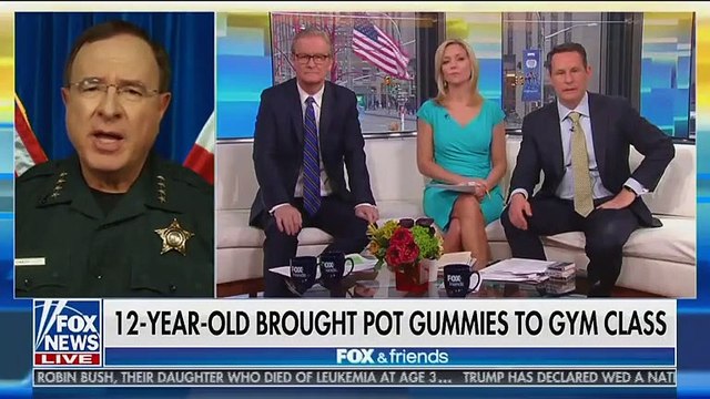 Florida Sheriff On Fox News: Weed is \'Ruining Families and Killing\' Americans \'Every Day\'