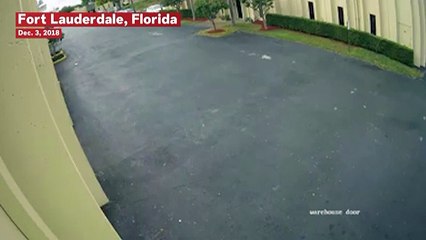 Surveillance Footage Captures Plane Crashing Into Florida Electronics Warehouse