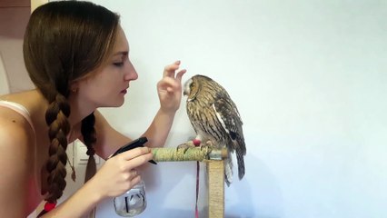 Cute Kisses from an Awesome Owl
