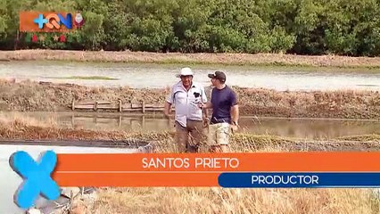 mqn-productor-de-sal-031218