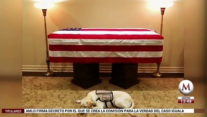 Sully, el perro de George H. W. Bush, se niega a dejar su ataúd