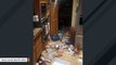 Bear Family Breaks Into House, Rips Apart Kitchen In Search Of A ‘Midnight Snack’