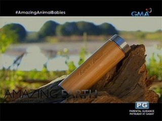 Amazing Earth: Eco-friendly tumbler for Mother Earth