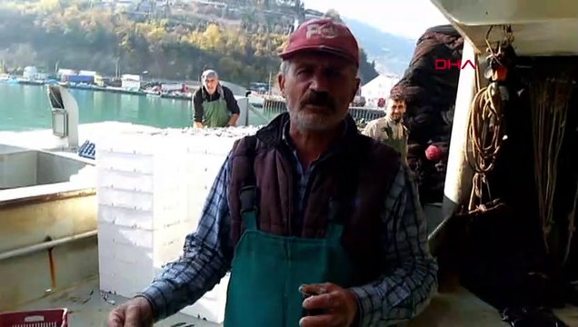 Karadeniz’de hamsi bolluğu