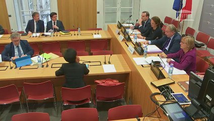 Commission spéciale Brexit : Mme Céline Gauer, sec. gle adj. de la Commission européenne, chargée de la coordination des politiques - Lundi 3 décembre 2018