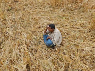 ഒരു കിലോ വഴുതനങ്ങയുടെ വില കേട്ട് ഞെട്ടി | Oneindia Malayalam