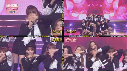 [Showchampion behind EP.115] 12 girls as attractive as roses, IZONE 'La Vie en Rose' Multicam