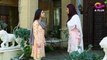 Ghamand - Episode 21 - Aplus Dramas - Noman Ijaz, Sunita Marshall, Minal Khan - Pakistani Drama