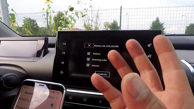 navigare in internet con lo smeg citroen peugeot
