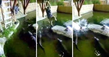 فيديو مخيف لرجل يسقط وسط مجموعة من التماسيح الجائعة!