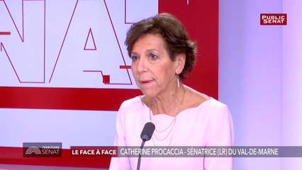 Gilets jaunes : « Il y a une vraie responsabilité de Castaner qui doit s’interroger sur ses capacités à maintenir l’ordre » estime Catherine Procaccia