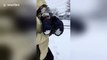 Video of baby sinking in 20-inch snow goes viral
