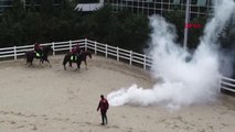 İstanbul- İstanbul'un Atlı Polisleri Göreve Böyle Hazırlanıyor 2