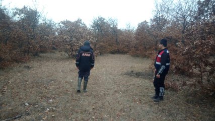 Télécharger la video: Domuzdan Korkunca Ormanlık Alanda Geceyi Ağaç Üzerinde Geçirdi