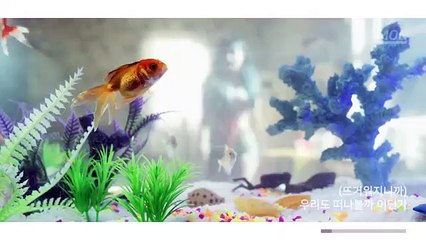 안양동출장마사지  - { 카톡MSG5588 } ⊀Ö7Ô-5180-1616⊁안양동출장안마'20대' 안양동출장안마 출장안마코스 안양동출장안마 안양동출장마사지-황제 안양동출장마사지- 안양동콜걸.