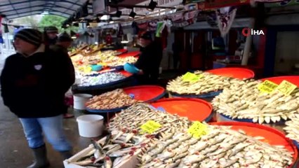 Palamut ve Çinekop Rekor Kırdı