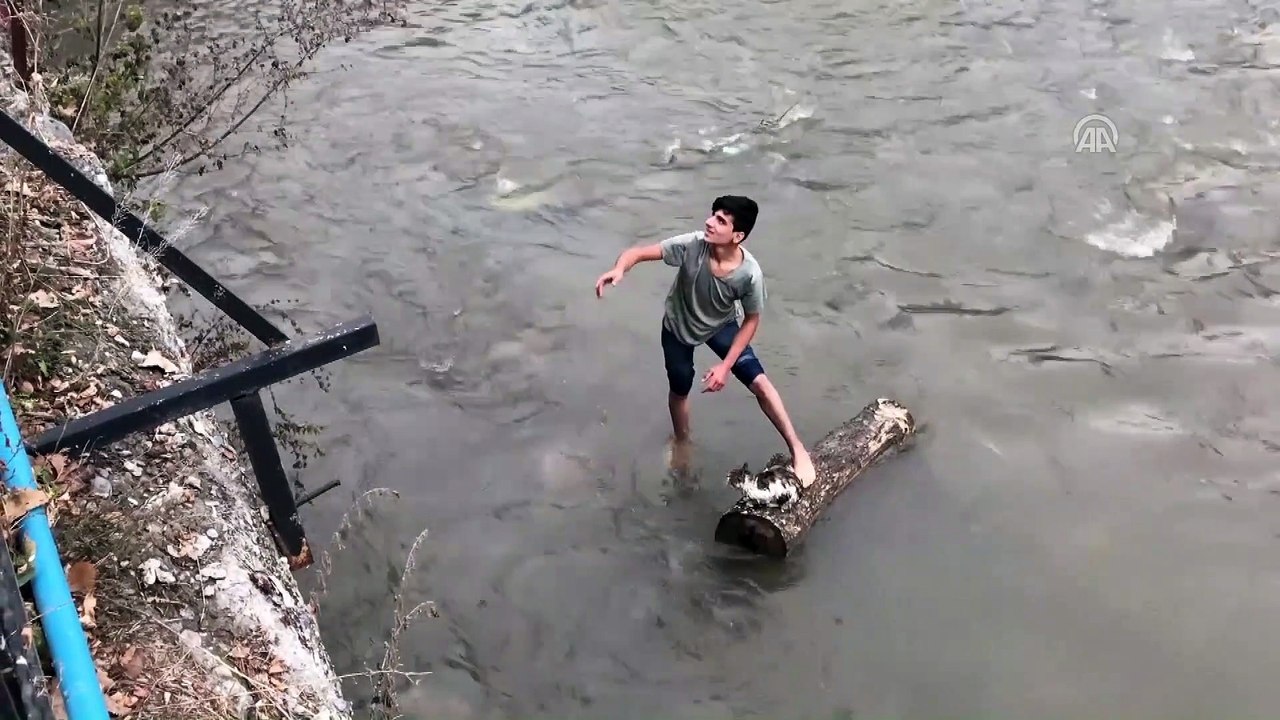 Kars Çayı'na düşen kedi yavrusunu gençler kurtardı - KARS