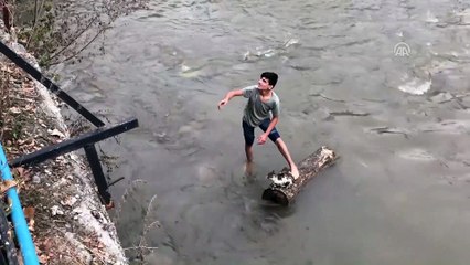 Kars Çayı'na düşen kedi yavrusunu gençler kurtardı - KARS