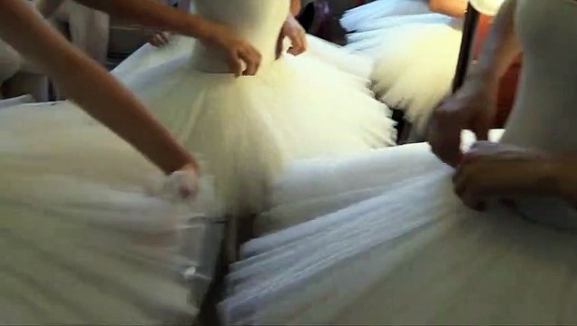 Graines d'étoiles : L'Intégrale