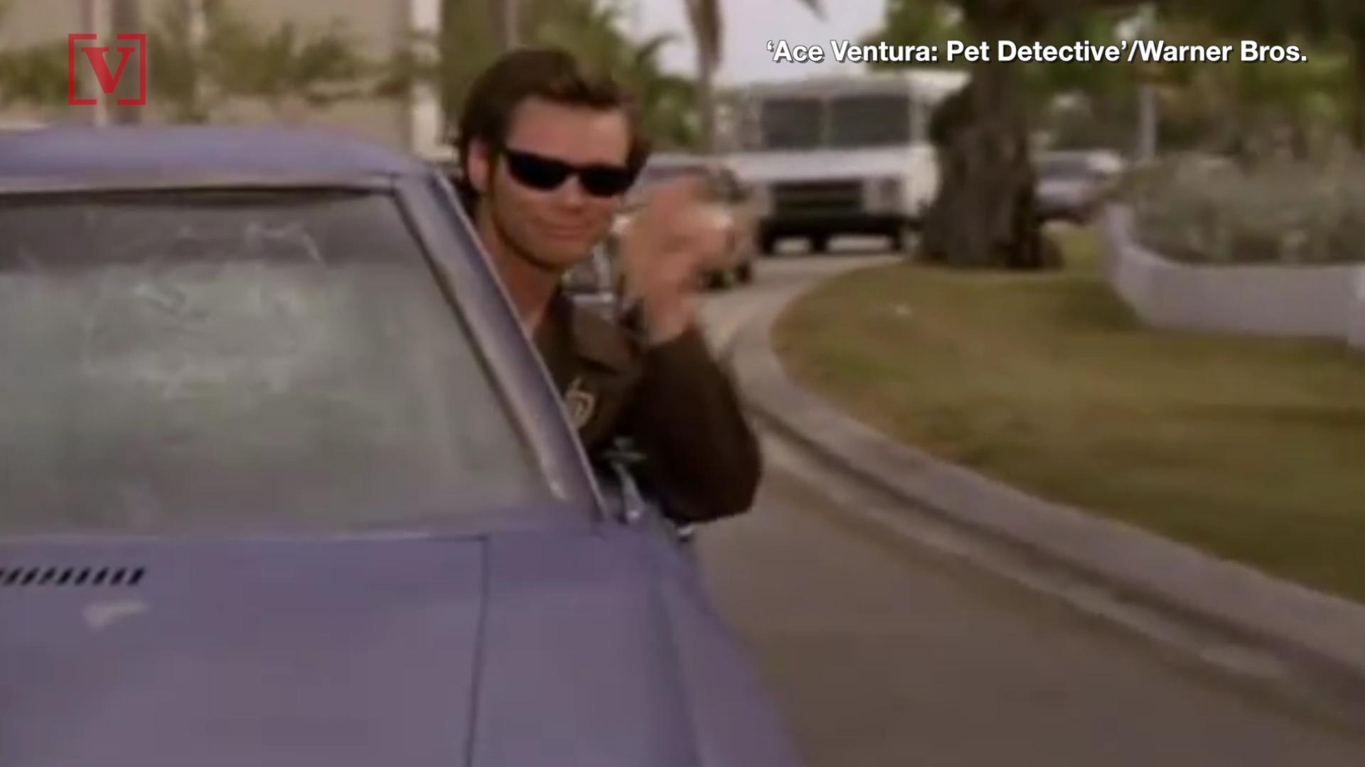 ace ventura pet detective dailymotion