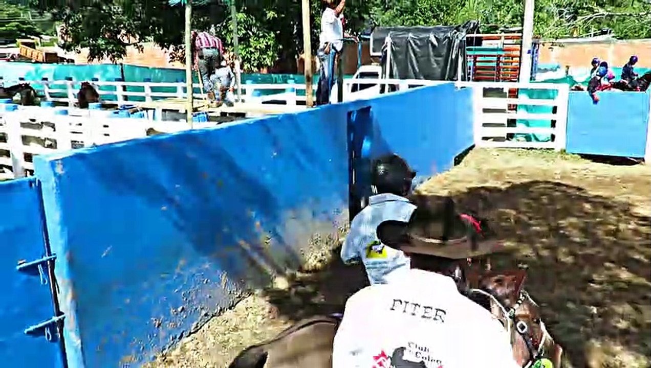III COPA INTERNACIONAL NECTAR DE COLEO