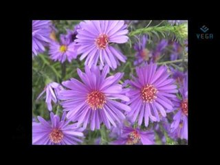 Naan Ready Nee - Ponane neram