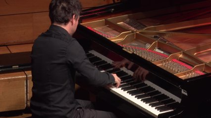 Leos Janacek : Dans les brumes (Benedek Horvath)