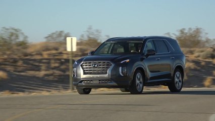 2020 Hyundai Palisade Driving Video