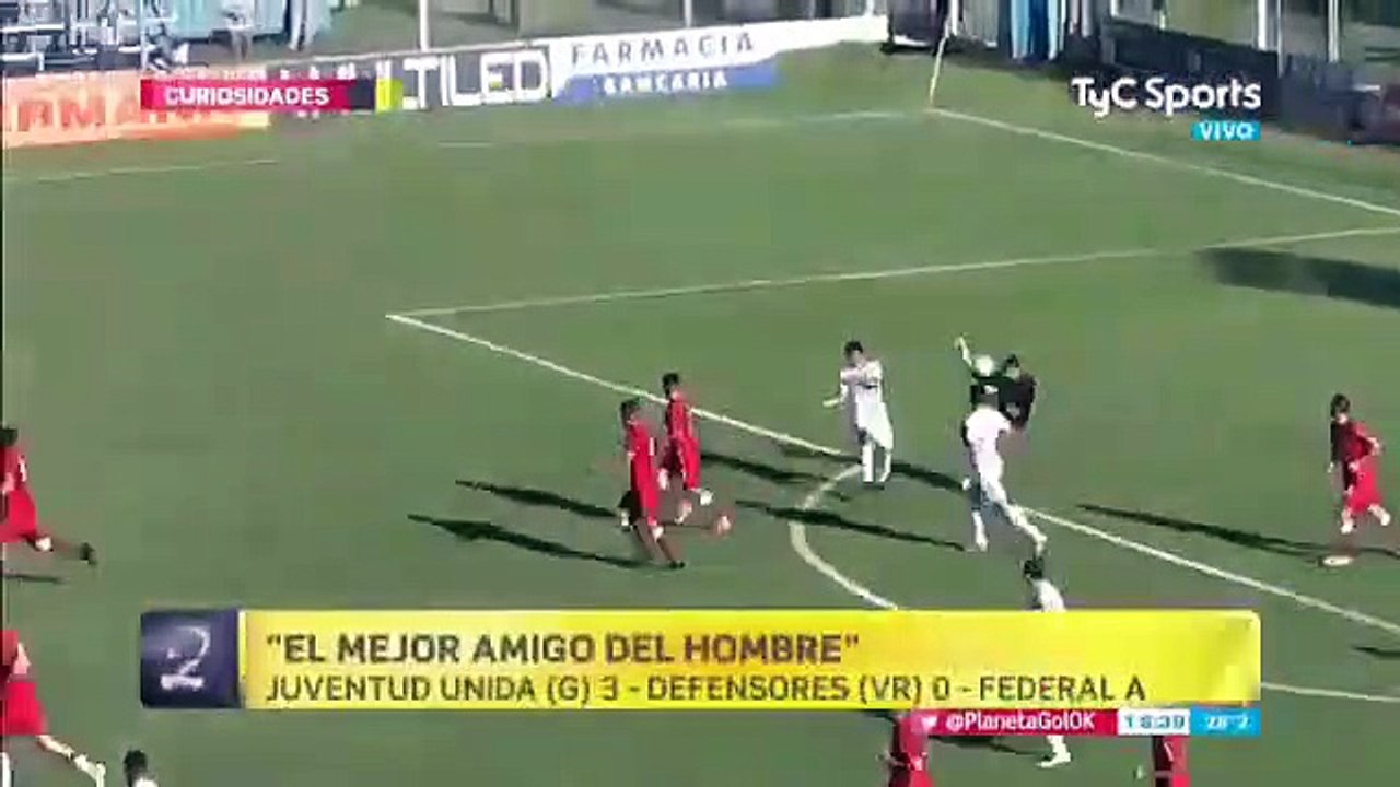VÍDEO: cão invade campo e evita que a bola entre na baliza