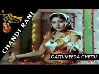 Chandi Rani Video Songs | Gattumeeda Chettu ||