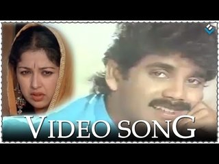 Oho Laila O Charu Sheela Video Song - Chaitanya Telugu Movie