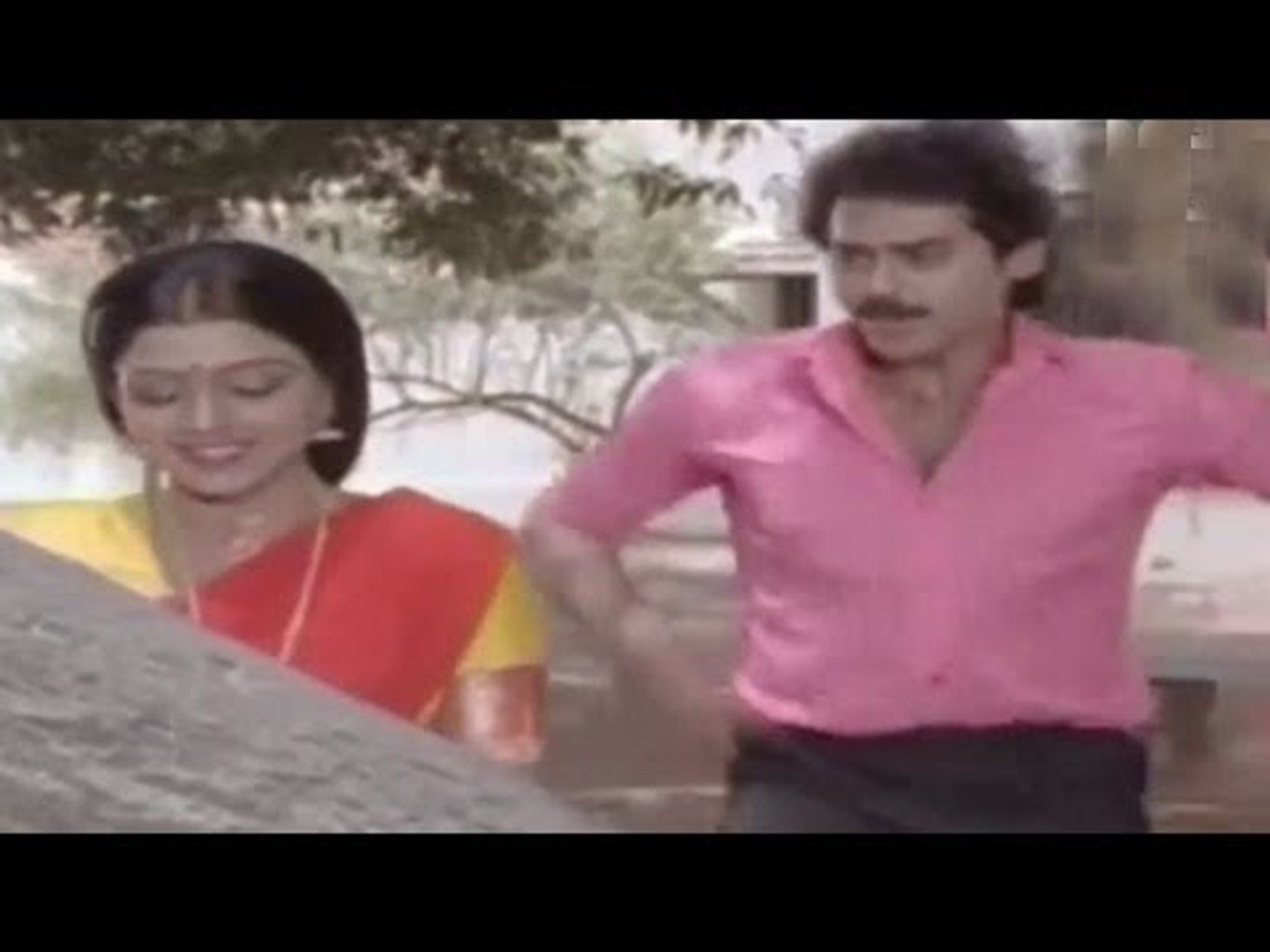 ⁣Srinivasa Kalyanam Telugu Movie Songs - Tummeda Tummeda Song
