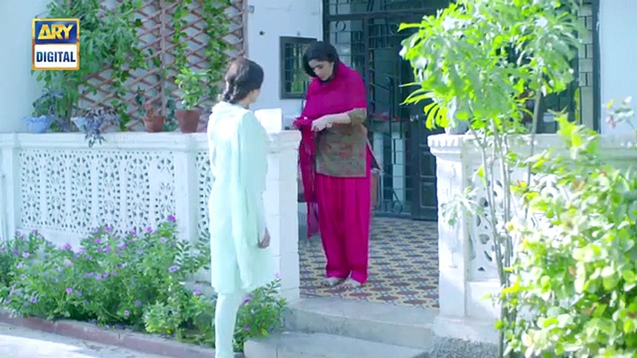 Dil Mom Ka Diya Last Episode 29