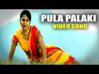 Pula Palaki Telugu Song || Sivaji & Sindhu Tulani || Nee Navve Chalu Movie