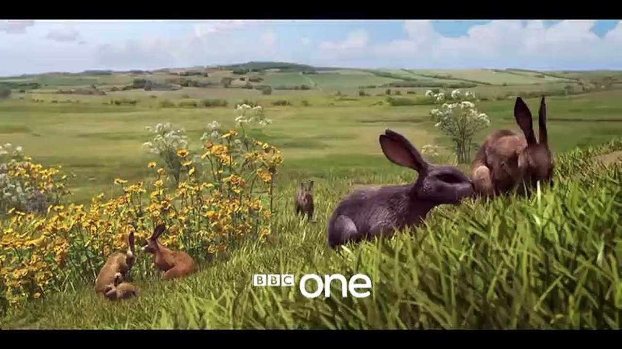 Watership Down: Trailer - BBC